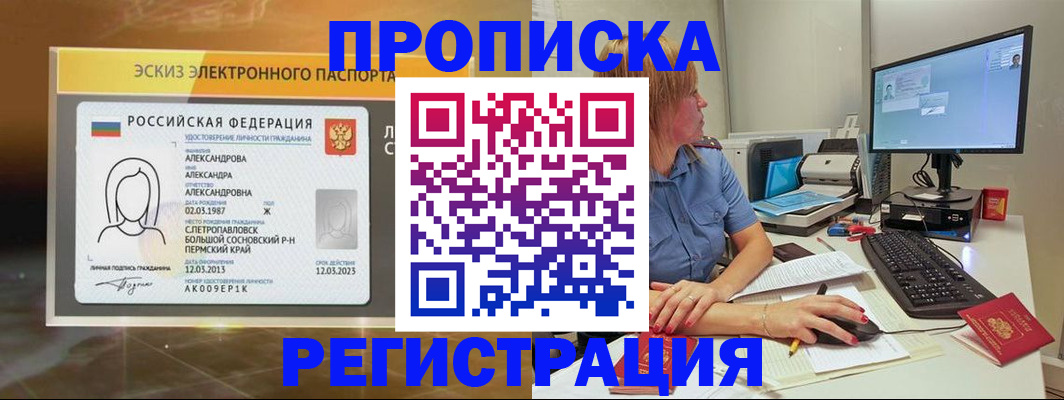 прописка 2025 в Камышине